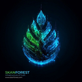 SKANFOREST